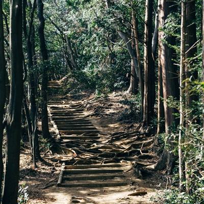 马里奥医生世界内购破解版下载