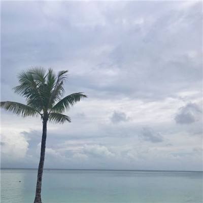 诛仙剑侠录手游